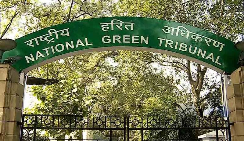 Maharashtra: NGT Accuses Ashapura Meinchem Limited Of Violating Environmental Clearance Conditions In Dapoli Bauxite Mining Operations