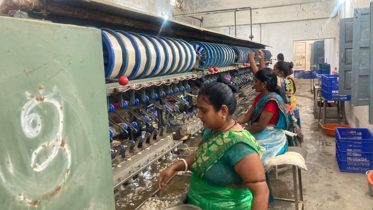 Madhya Pradesh: Narmadapuram, Betul Ahead In Silk Production