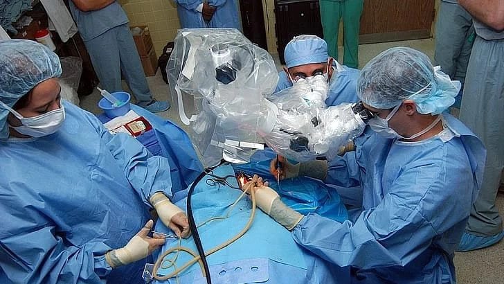 Mumbai Records 55th Cadaver Organ Donation In 2024