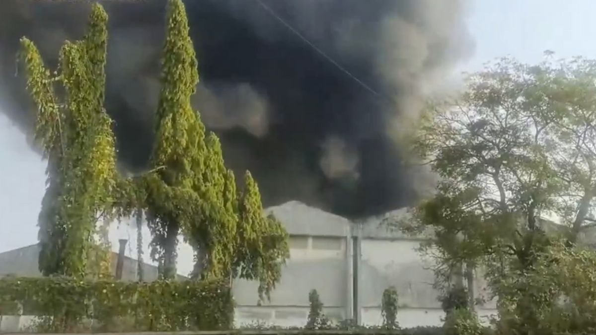 Maharashtra: Massive Fire Breaks Out At Factory Near Tarapur MIDC In Palghar; No Casualties Reported (Video)