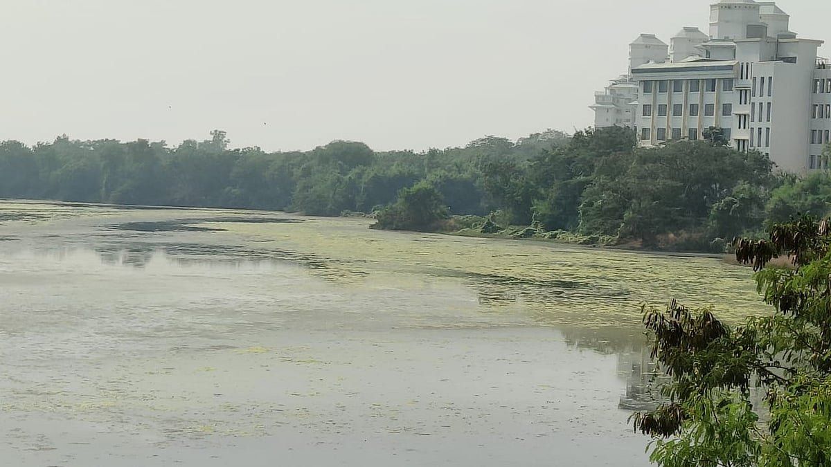 Navi Mumbai: Silent Human Chain Around DPS Flamingo Lake On World Wetlands Day To Protest CIDCO’s Blockage Of Water Flow