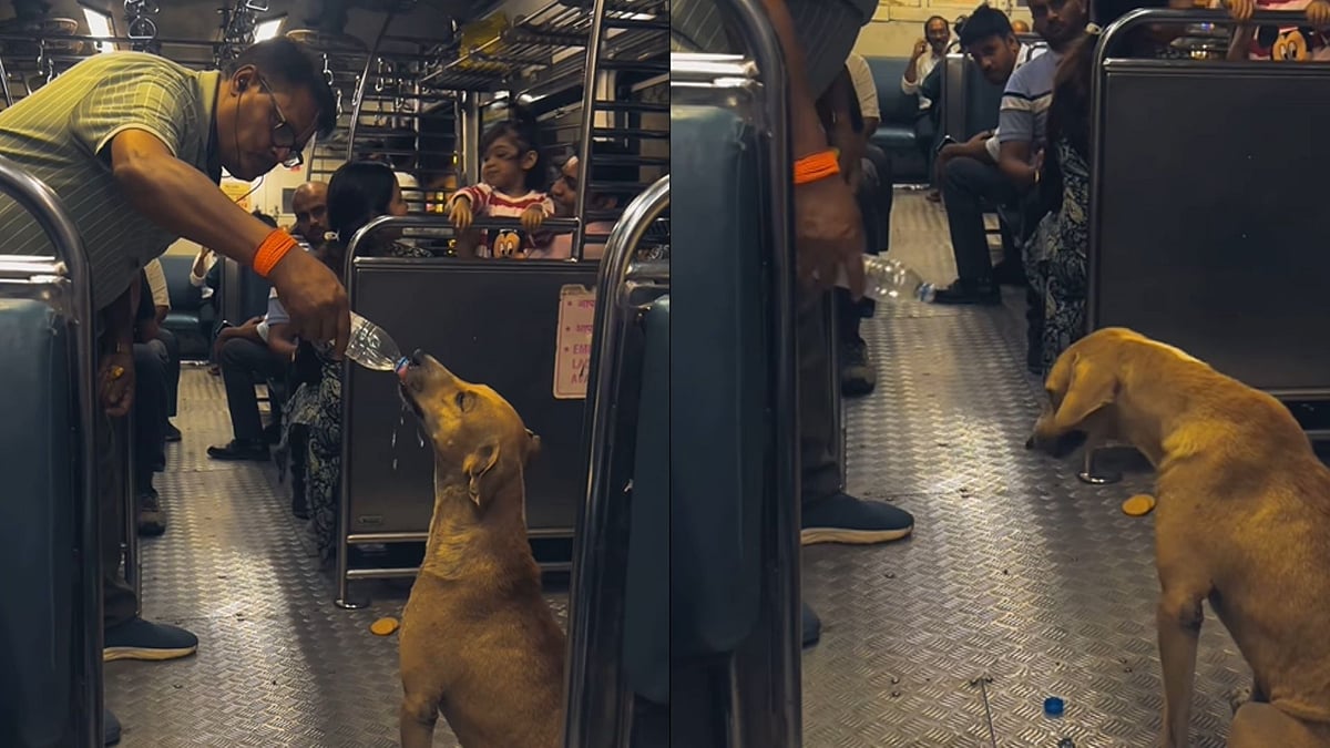 Heartwarming! Man Helps Stray Dog Drink Water Inside Mumbai Local Train, Video Goes Viral