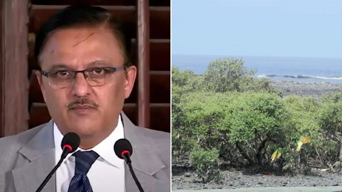 Mumbai News: Justice Abhay Oka Calls 45,000 Mangrove Felling For Coastal Road North ‘Staggering’, Seeks Independent Review To Limit Damage